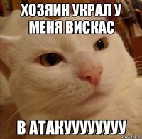 хозяин украл у меня вискас в атакуууууууу