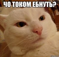 Чо током ебнуть? 