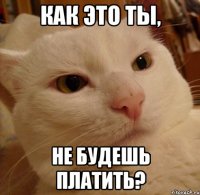 Как это ты, не будешь платить?