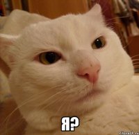  я?