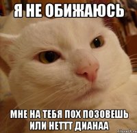 я не обижаюсь мне на тебя пох позовешь или неттт ДИАНАА