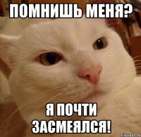 Помнишь меня? Я почти засмеялся!