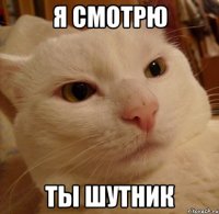 я СМОТРЮ ТЫ ШУТНИК