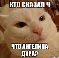 Кто сказал ч что Ангелина дура?
