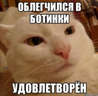 облегчился в ботинки удовлетворён