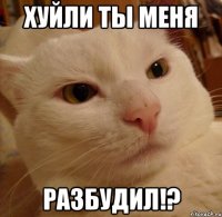 Хуйли ты меня РАЗБУДИЛ!?