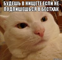 Будешь в Нищете если не подпишешься в БестХак 