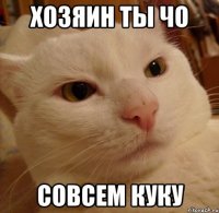 хозяин ты чо совсем куку