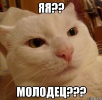 яя?? молодец???