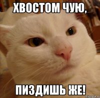 хвостом чую, пиздишь же!
