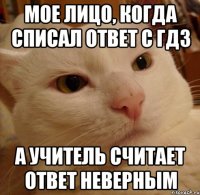 Мое лицо, когда списал ответ с ГДЗ а учитель считает ответ неверным
