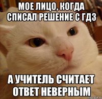 Мое лицо, когда списал решение с ГДЗ а учитель считает ответ неверным