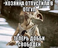 Хозяйка отпустила в отгул теперь добби свободен
