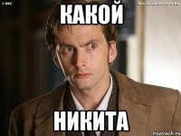 КАКОЙ НИКИТА
