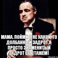 Мама. Пойми я не какой-то долбанный задрот,Я ПРОСТО ЗНАМЕНИТЫЙ ЗАДРОТ СО СТАЖЕМ!