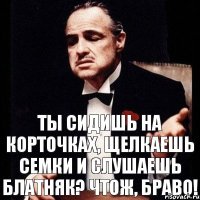 ты сидишь на корточках, щелкаешь семки и слушаешь блатняк? Чтож, браво!