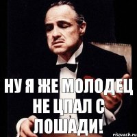 НУ Я ЖЕ МОЛОДЕЦ НЕ ЦПАЛ С ЛОШАДИ!