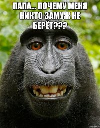 папа... почему меня никто замуж не берёт??? 