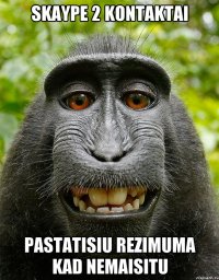 skaype 2 kontaktai pastatisiu rezimuma kad nemaisitu