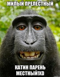 милый прелестный катин парень местный!xD