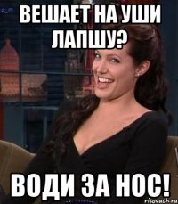 вешает на уши лапшу? води за нос!