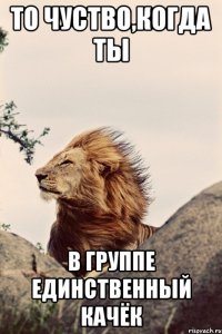 то чуство,когда ты в группе единственный качёк