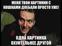 меня твои картинки с кошками доебали просто уже! одна картинка охуительнее другой