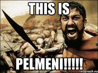 this is pelmeni!!!