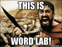 this is word lab!