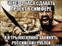 через 3 часа сдавать проект в симфере а в трыню нужно закинуть российских рублей