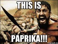 THIS IS PAPRIKA!!!