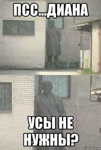 псс...диана усы не нужны?