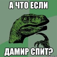 а что если дамир спит?