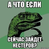 а что если сейчас зайдет нестеров?