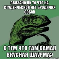 связано ли то что на студенческой нет бродячих собак с тем что там самая вкусная шаурма?