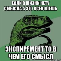 если в жизни нету смысла а это всеволешь экспиремент то в чем его смысл