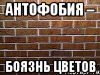 антофобия – боязнь цветов