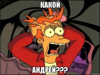 какой андрей???