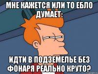 мне кажется или то ебло думает: идти в подземелье без фонаря реально круто?