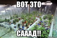 вот это сааад!!