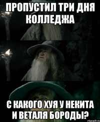 Пропустил три дня колледжа С какого хуя у Некита и Веталя бороды?