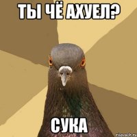 ты чё ахуел? сука