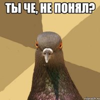 ты че, не понял? 