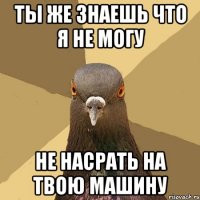 ты же знаешь что я не могу не насрать на твою машину