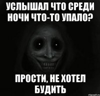 услышал что среди ночи что-то упало? прости, не хотел будить