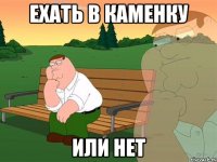 Ехать в Каменку или нет