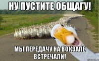 ну пустите общагу! мы передачу на вокзале встречали!