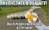 ну пустите в общагу! мы передачу на вокзале встречали!