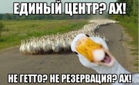 единый центр? ах! не гетто? не резервация? ах!