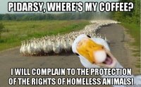 pidarsy, where's my coffee? i will complain to the protection of the rights of homeless animals!